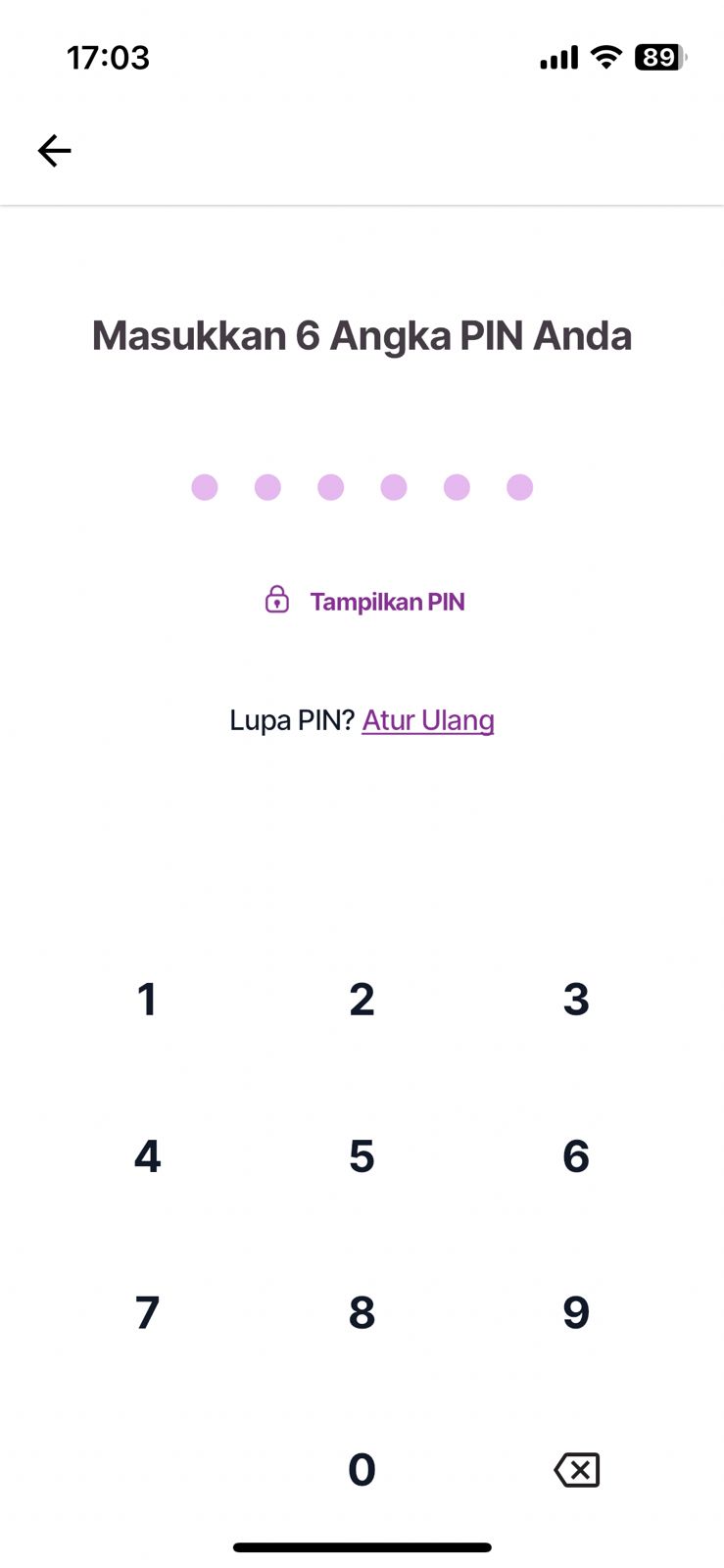 PIN Terdaftar.jpg